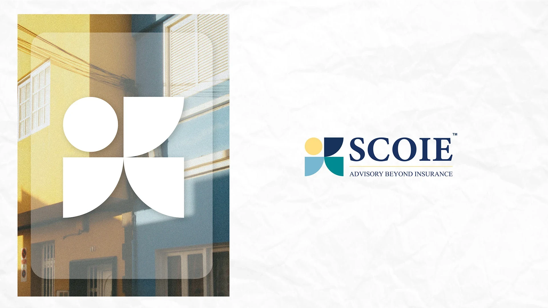 SCOIE environmental branding in a professional interior